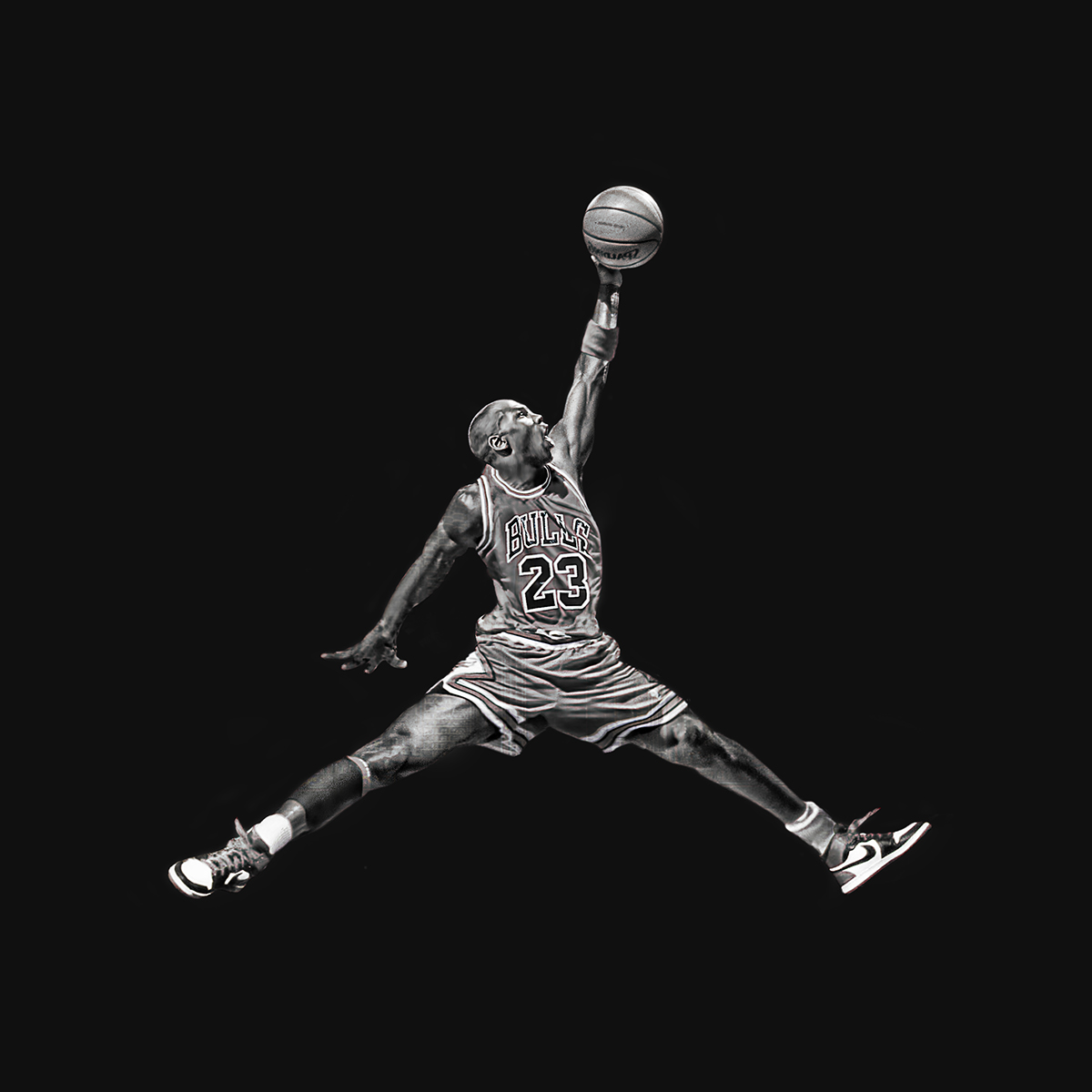 Michael Jordan jordan jumpman Nike chicago bulls Composite NBA basketball MJ air jordan shoes sneakers