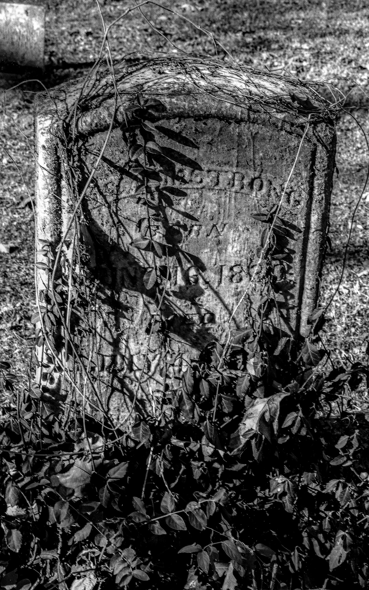 cemetery burial grave death Kentucky black and white die dead people film photography traditional tradition
