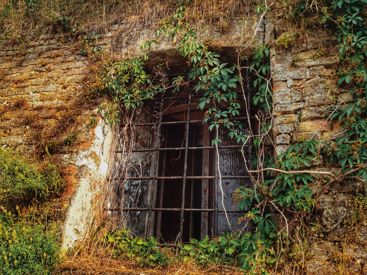 An obsession with old windows in Ballkan