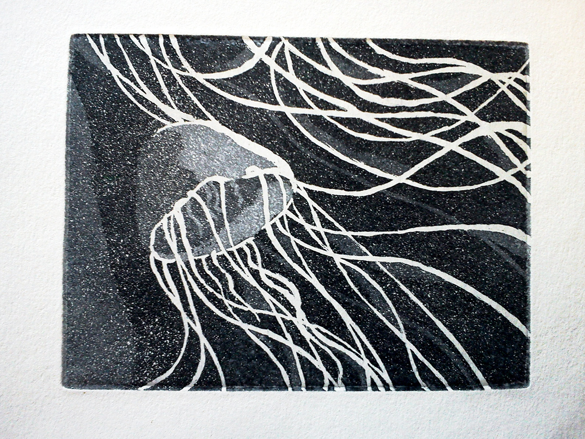 aquatint jellyfish medusa intaglio animal Ocean School Work graphics