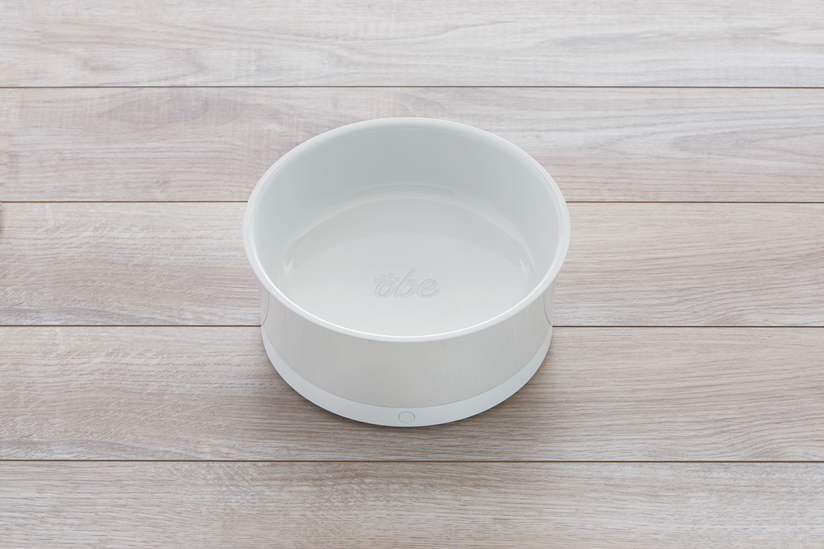 smart dog bowl smart dog dish matter inc obedog obe how to feed hilary jensen wade