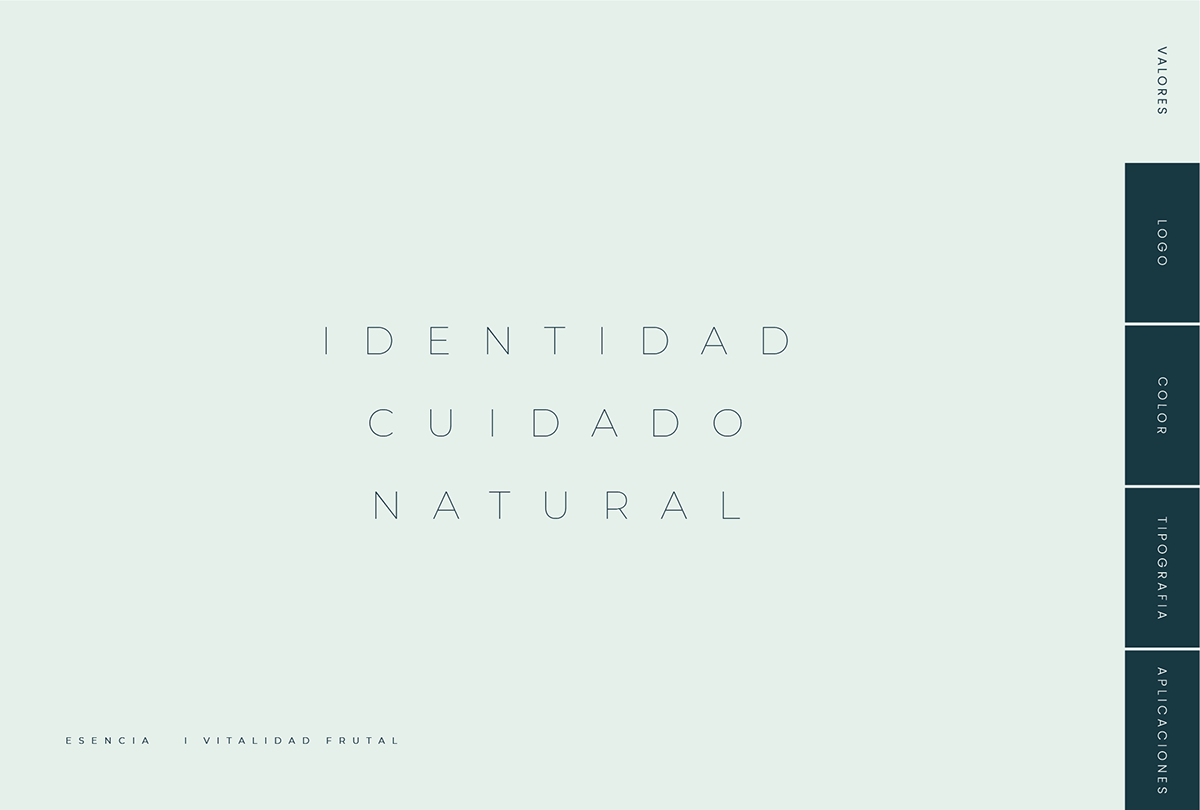 brand brand identity brandbook branding  identidade visual logo Logo Design Logotype Manual de Marca visual identity