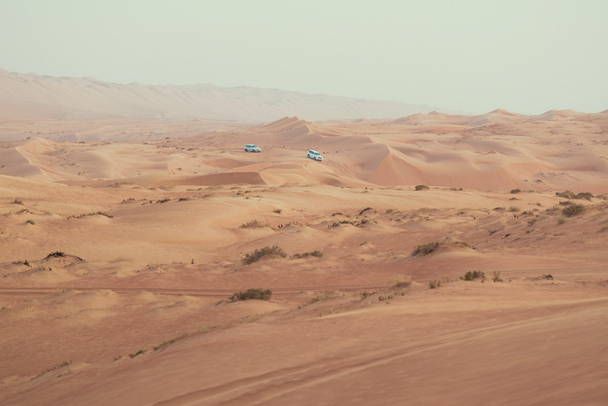 boat desert discover dune dust flamingos Oman voyage