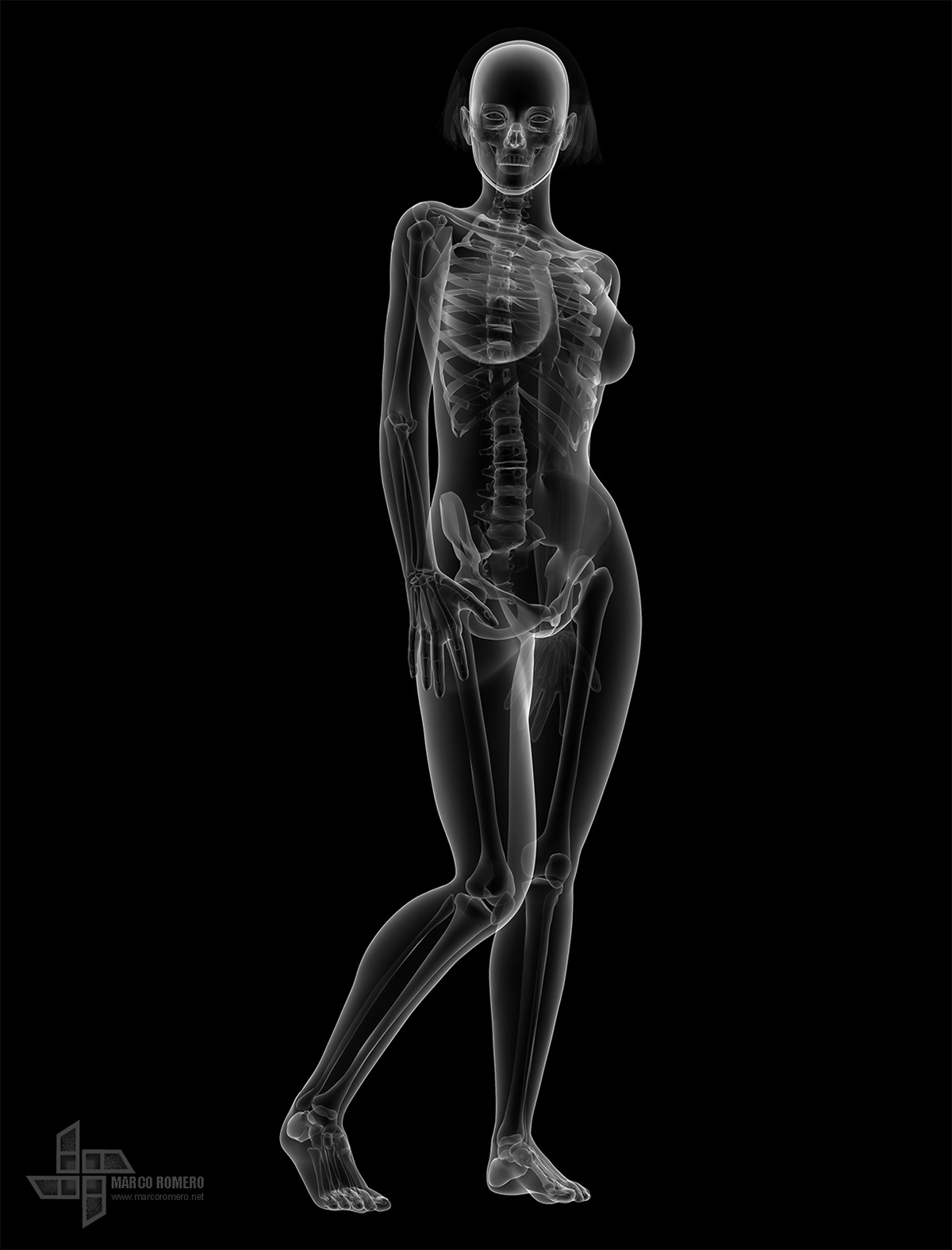 female anatomy Poser girl beauty woman medicine actor virtual Education media x-ray Radiologic Health medical