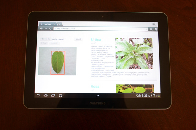 Plant recognition mobile smart phone's web app Asp.Net