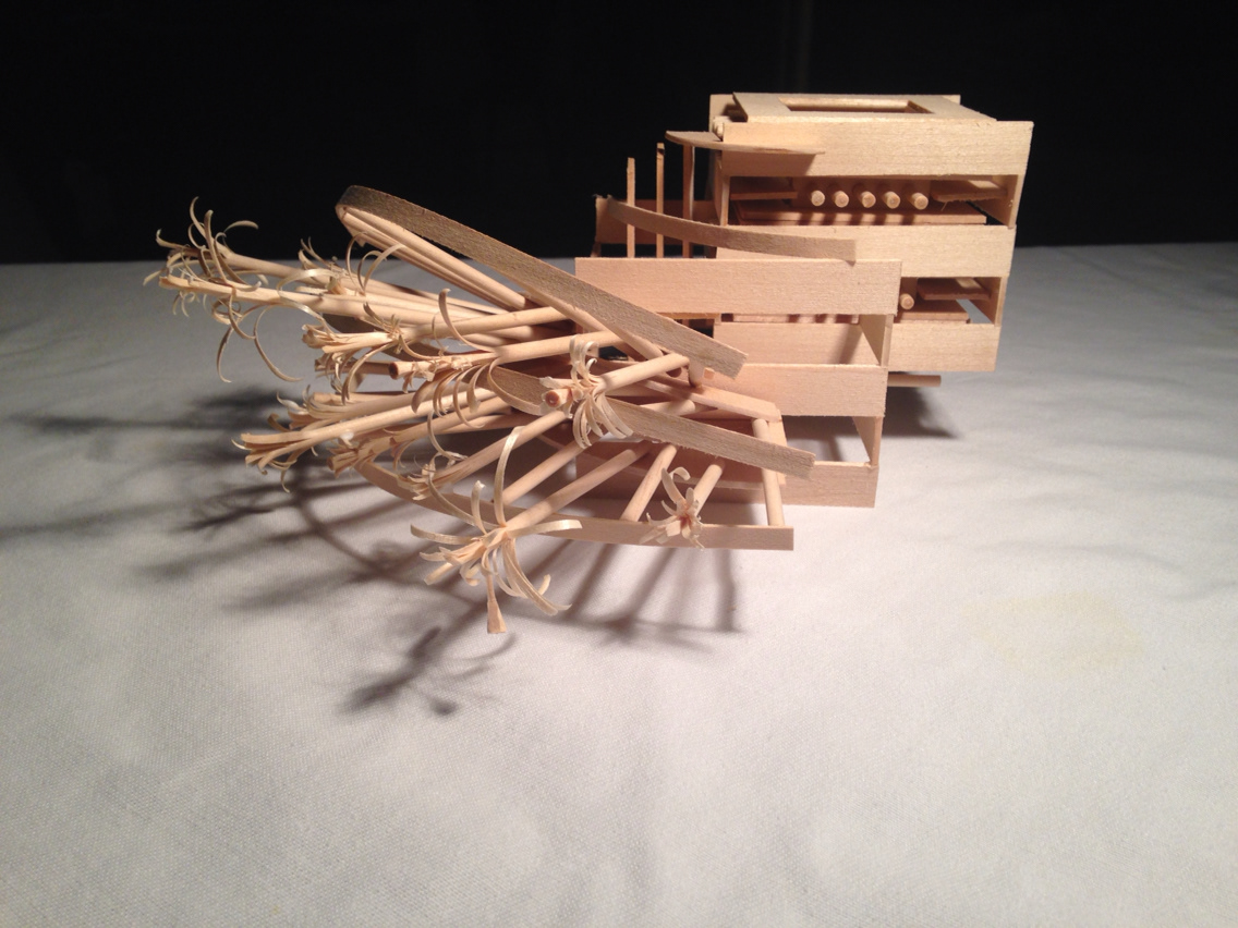 basswood model structure Structural Transition design art