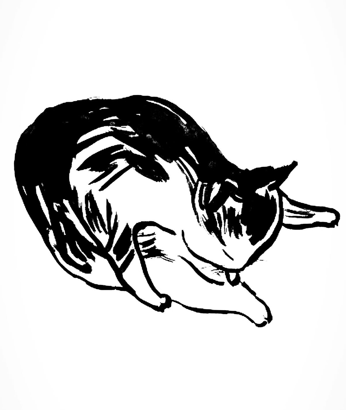 animal artist artwork black and white Cat cute Drawing  izuruaminaka kawaii monochrome