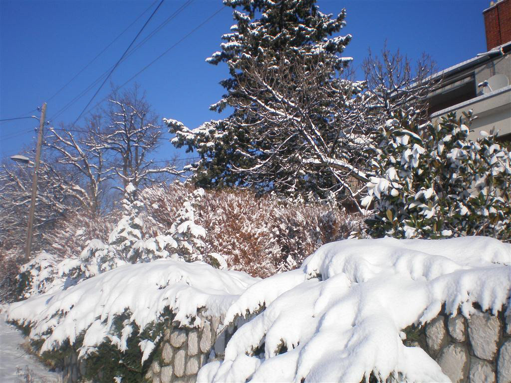 snow  Rijeka Croatia  WINTER  fairy tale