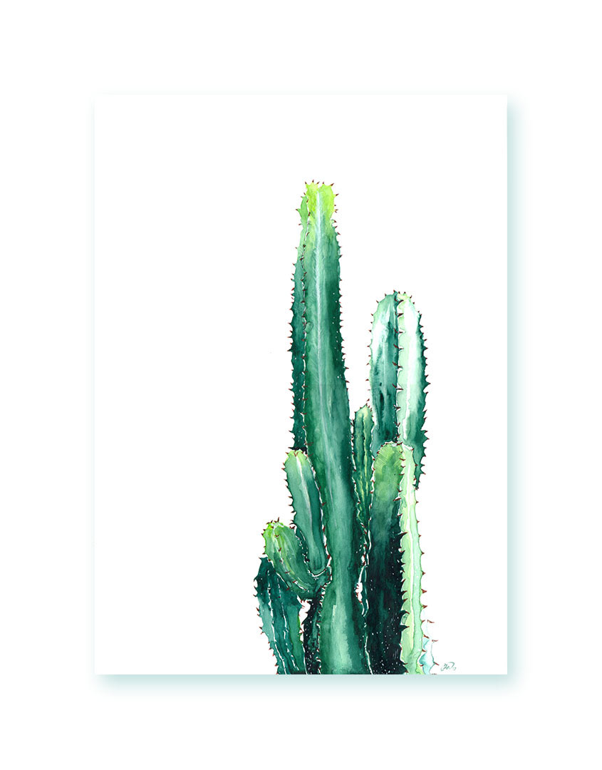 Suculents plants watercolor Sennelier cactus