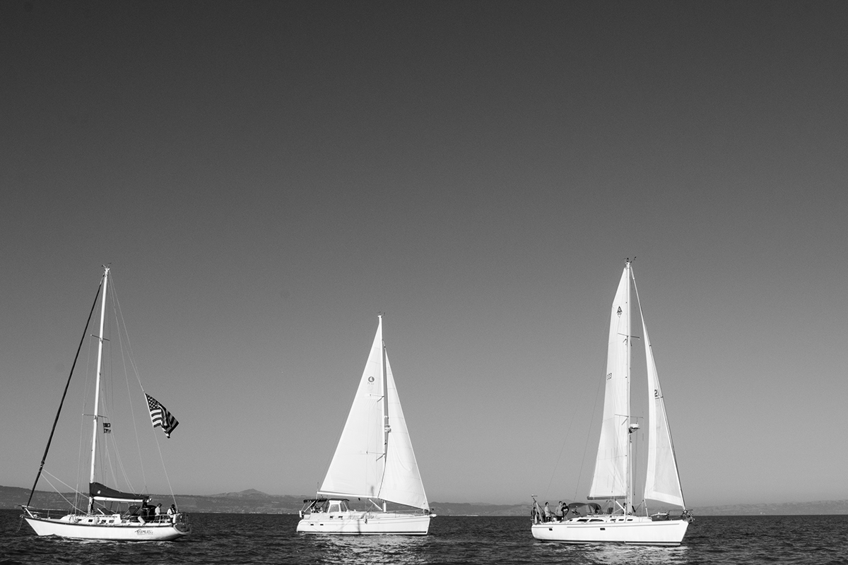 Adobe Portfolio boatrace sailing Photography  water boat crew captain