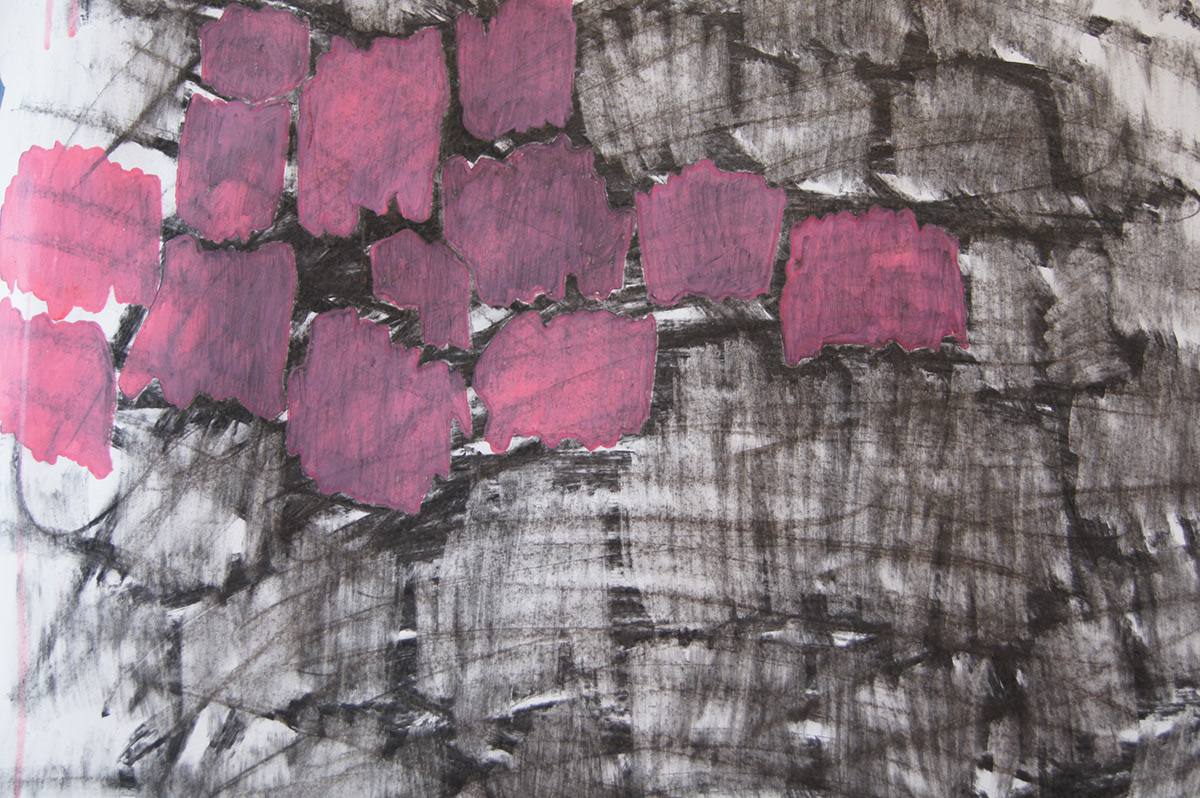 charcoal pink light egg gallery