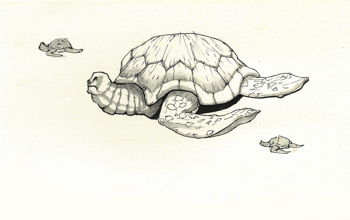 Turtle deep blue Norik Imami  sea Ocean comic