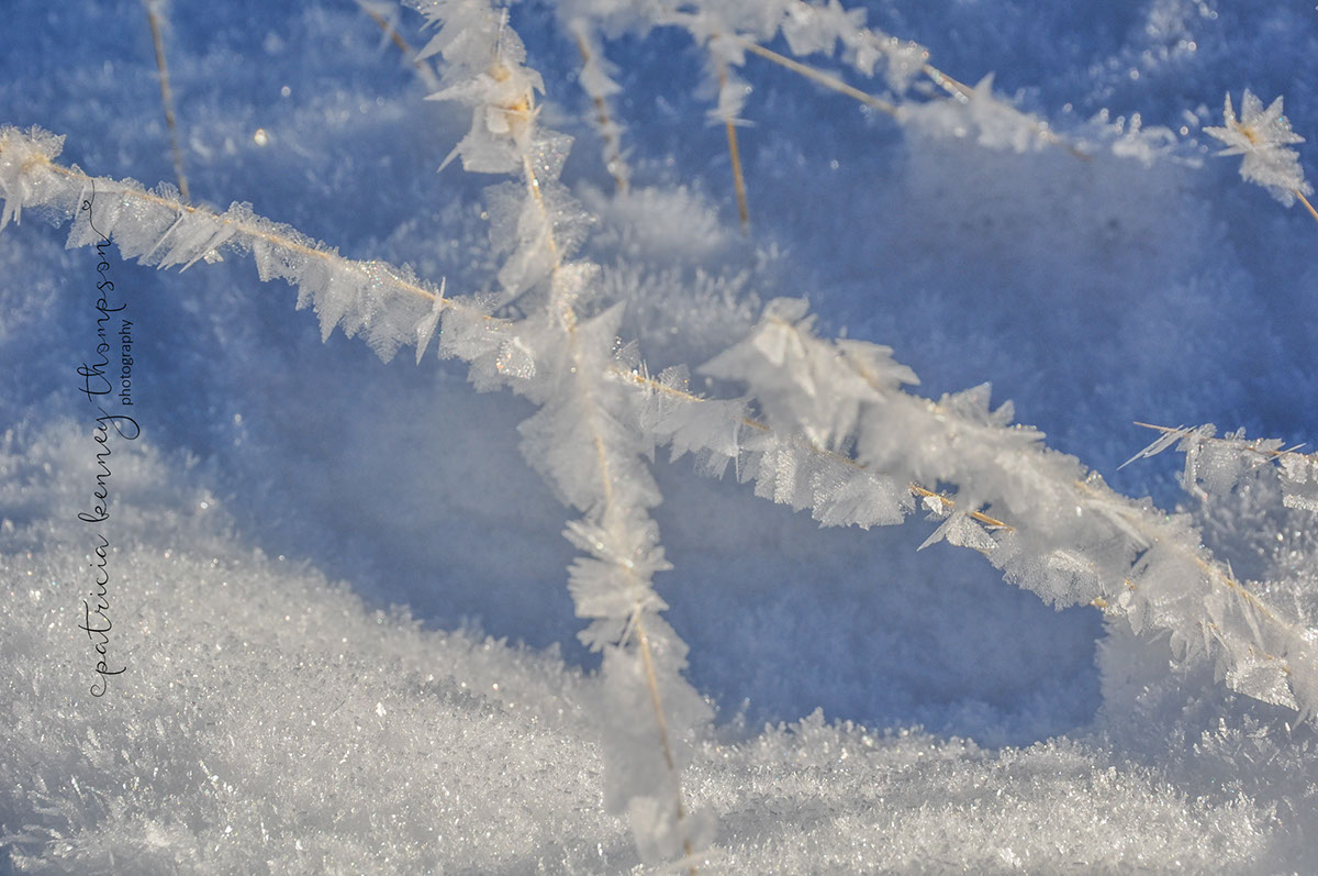 winter snow ice frost