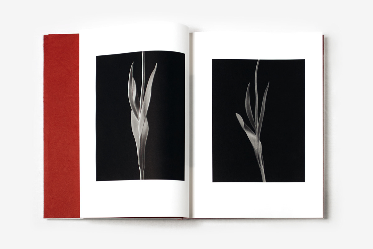 artbook Photography  book design Bookbinding Nature photobook Layout artprint bnw photoart