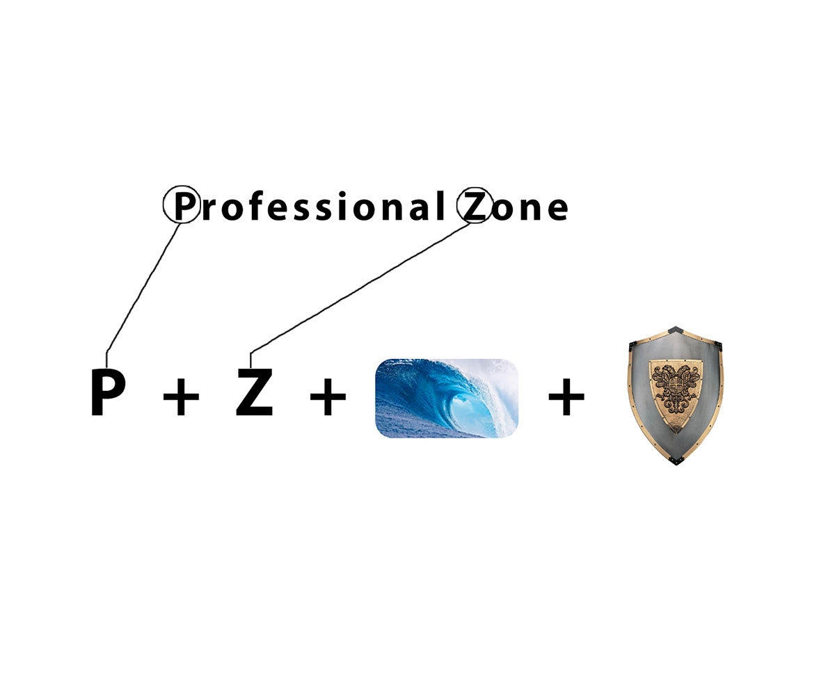 Professional Zone Logo