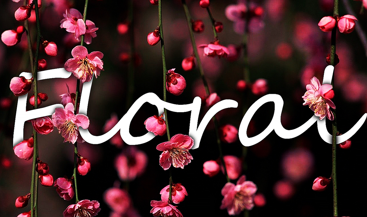Brhance typography   floral art photoshop designing ILLUSTRATION  inspiration graphics adobe