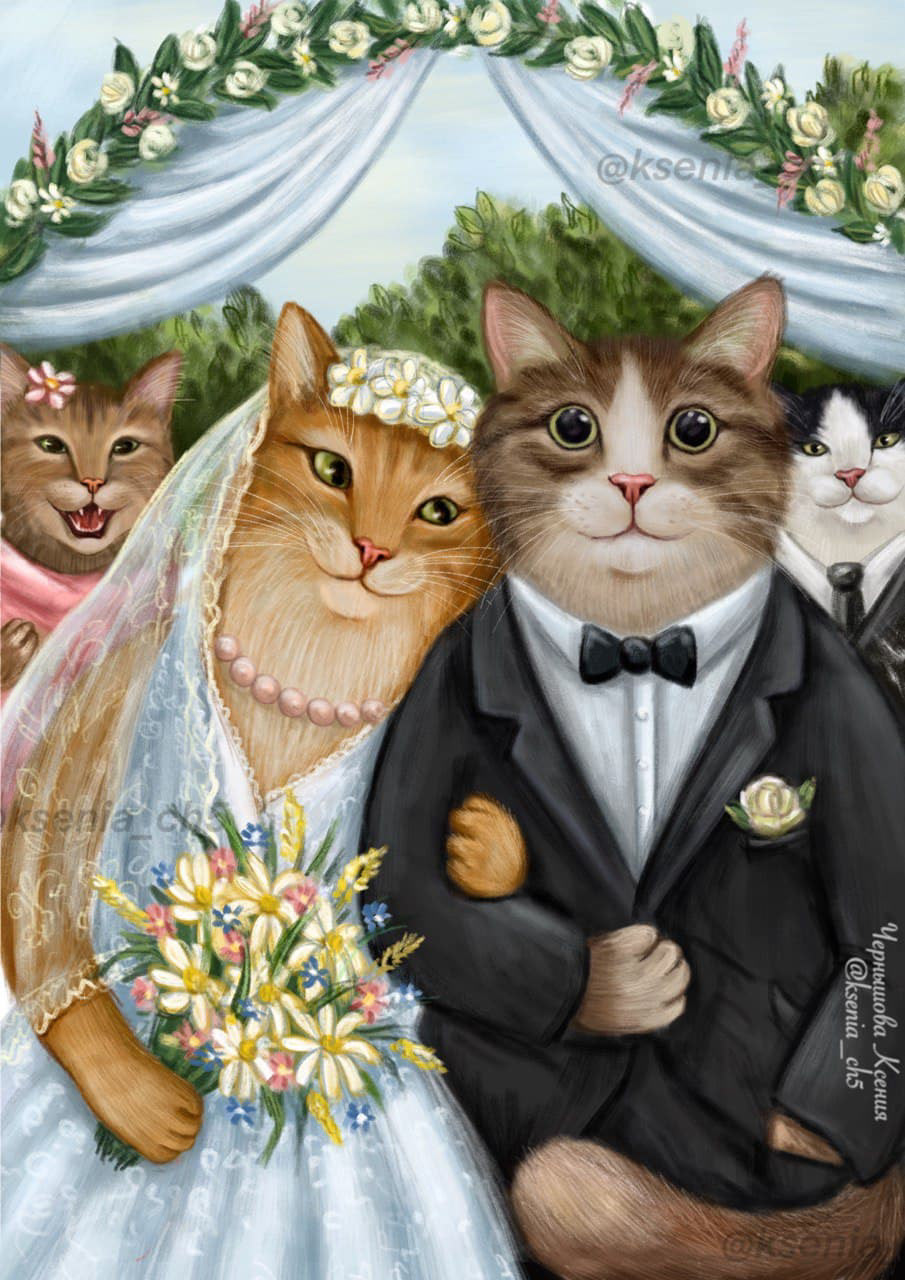 card Cat cats Digital Art  Lovecats postcard postcrossing wedding