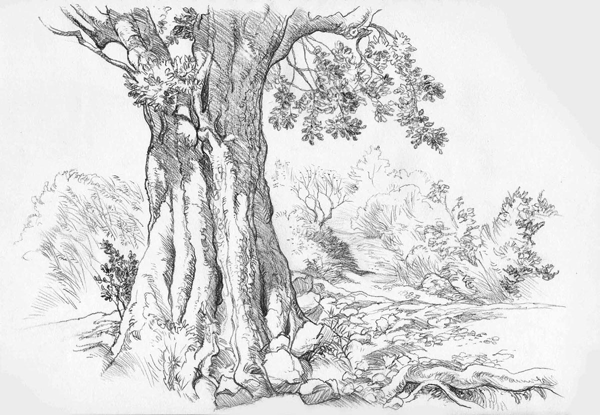 france travel sketches Pencil drawing countryside Landscape Greece Kefalonia kent sketches
