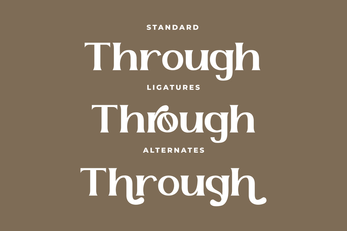 bold font branding font elegant font headline font ligature serif font logo font luxury font modern font Serif Font title font