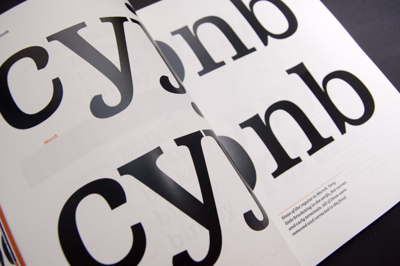 Binky type design book design typeface design type and media