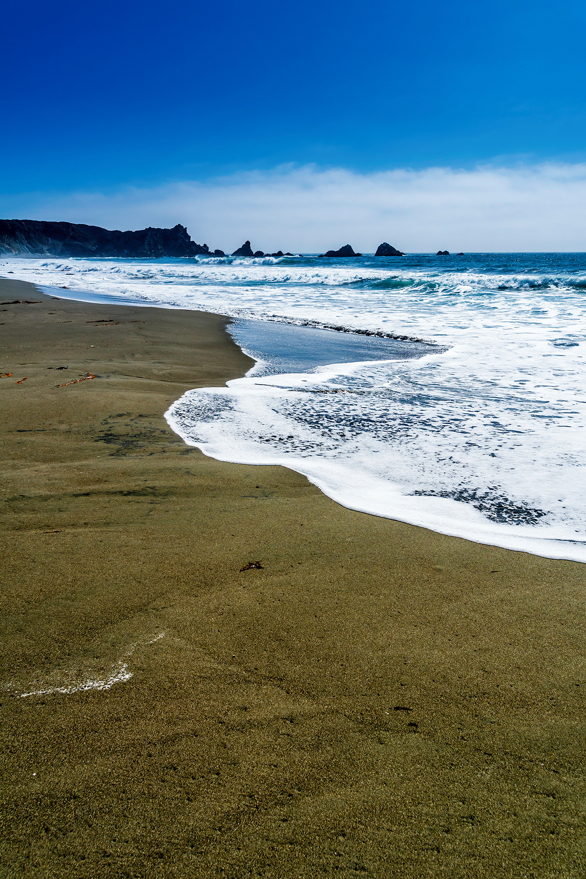 beach secluded Ocean pacific California Coast rocks California's Coast Beach line sea weed water waves Surf