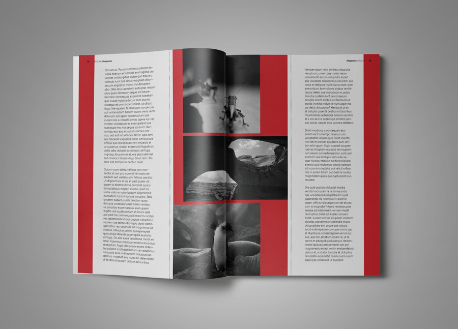 design magazine template print template clean InDesign portfolio brochure catalog presentation preview