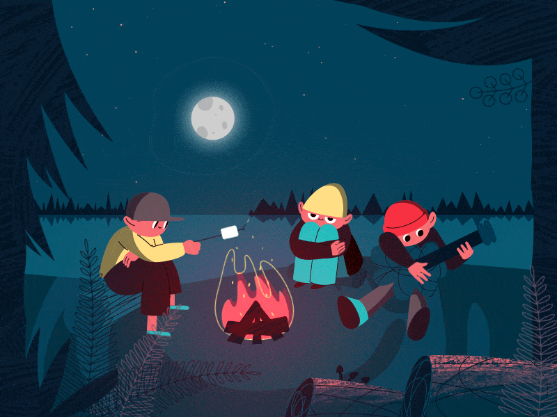 Campfire GIF on Behance