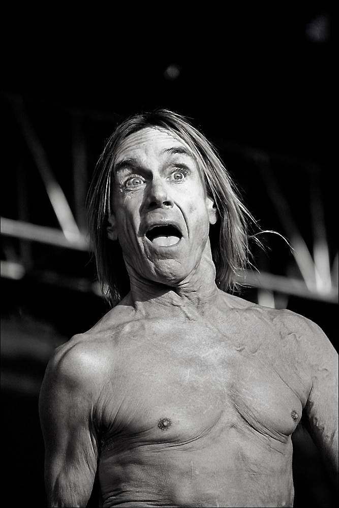 iggy pop the stooges