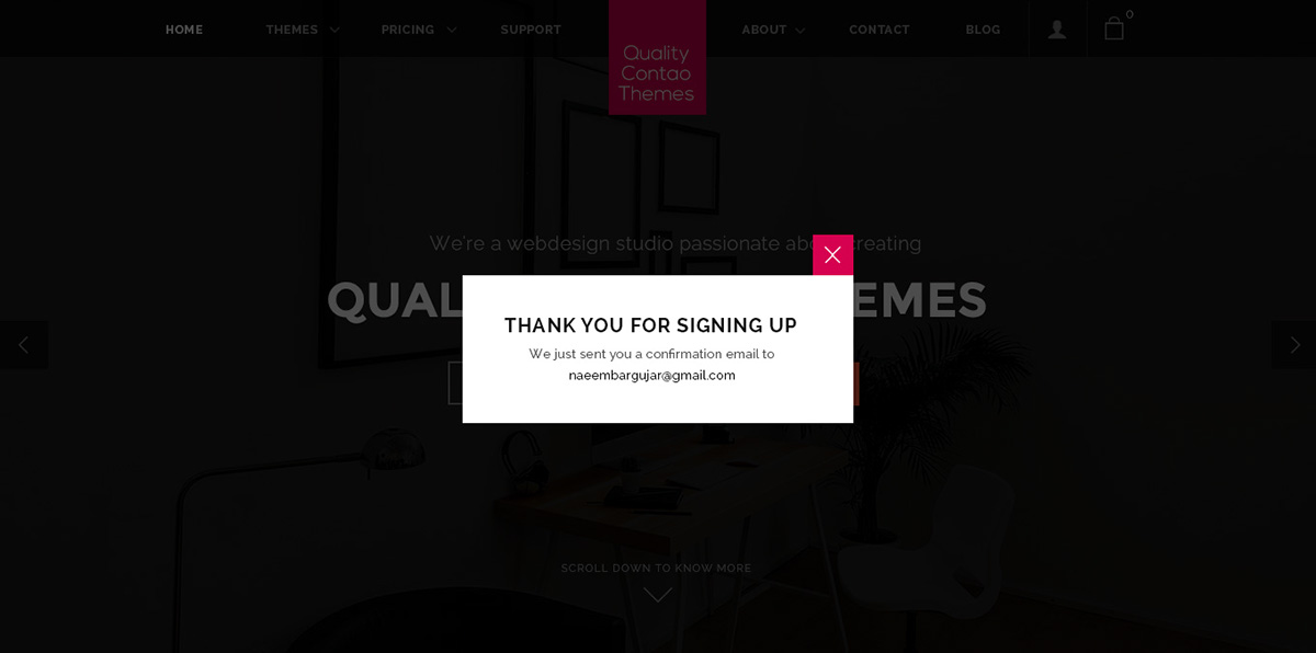E commerce Website Responsive pink