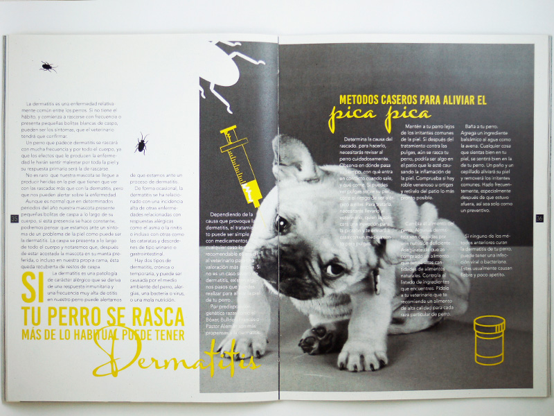 animales diseño gráfico Medios editoriales revista creative perros