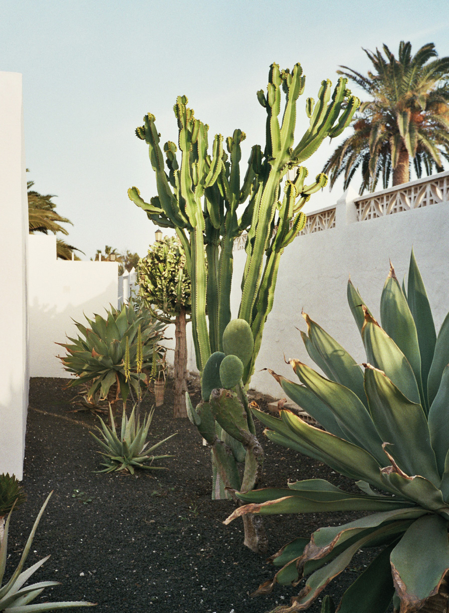 beach summer editorial model Fuerteventura Los Angeles California