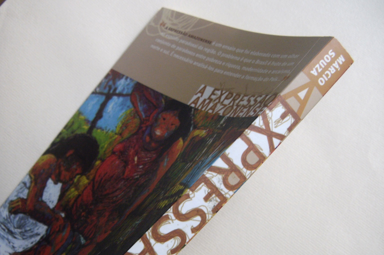 projeto de livro tipografia Amazonas editorial book Amazon manaus book cover Capa