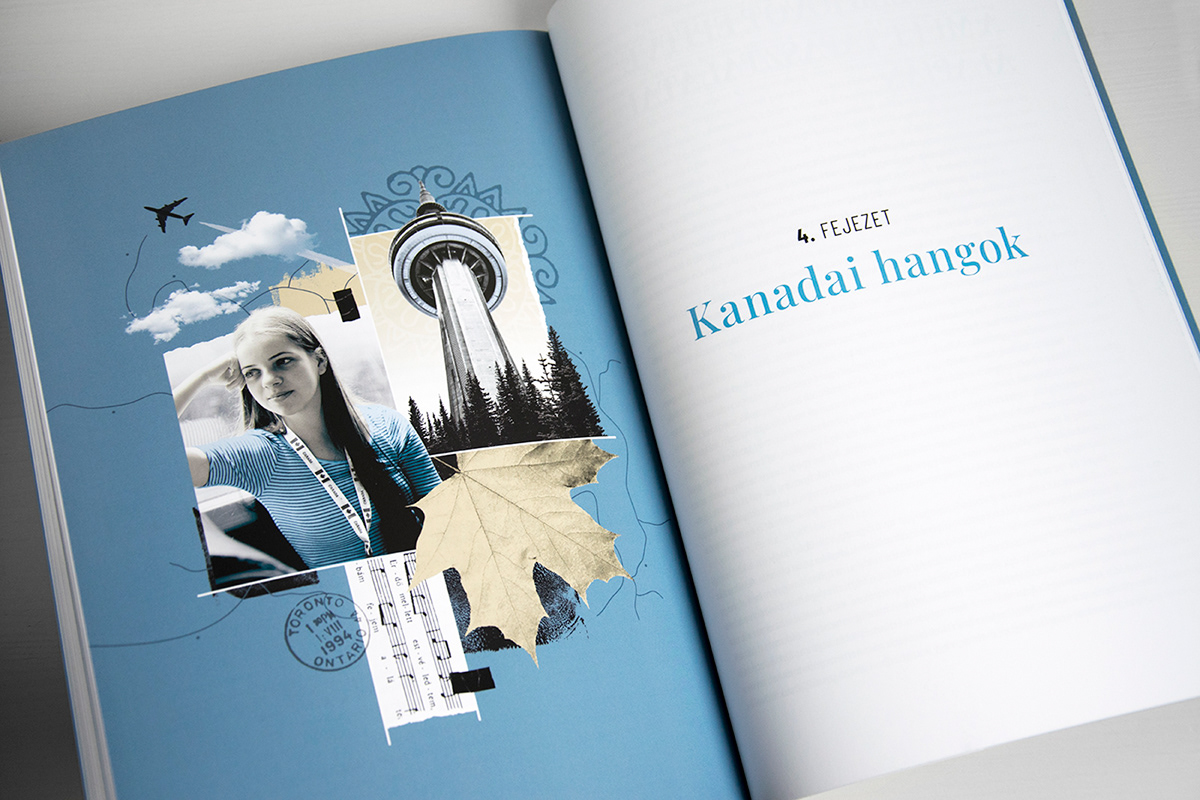 book cover design design history hungary Layout magyarország montage print typography  