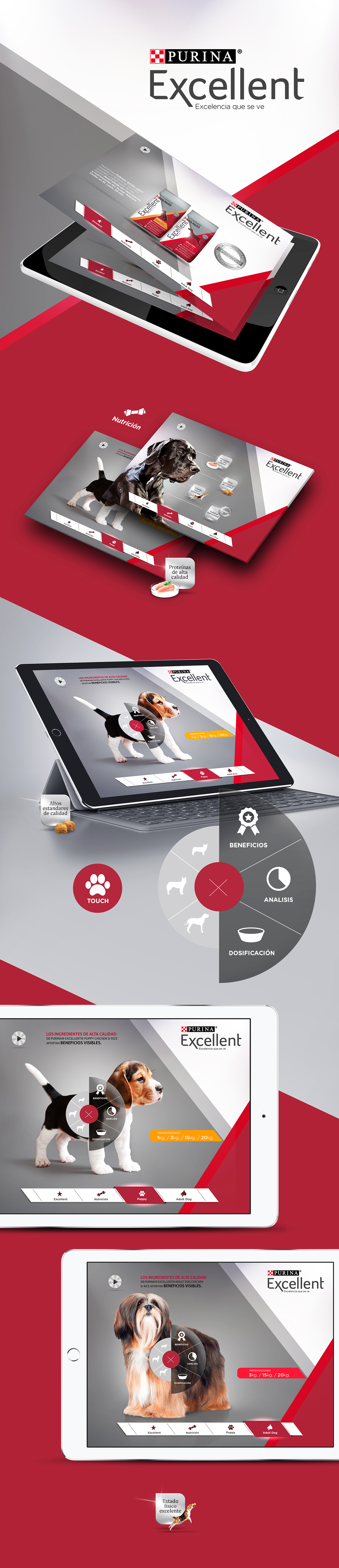 app dogs perros Purina UI ux tablet iPad Web prototipe application aplicación
