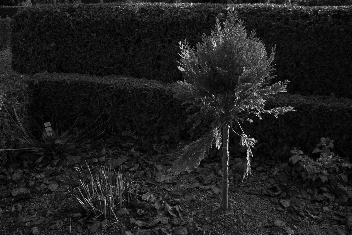 light shadow walkes Nature unseen public garden resting village femalephotographer