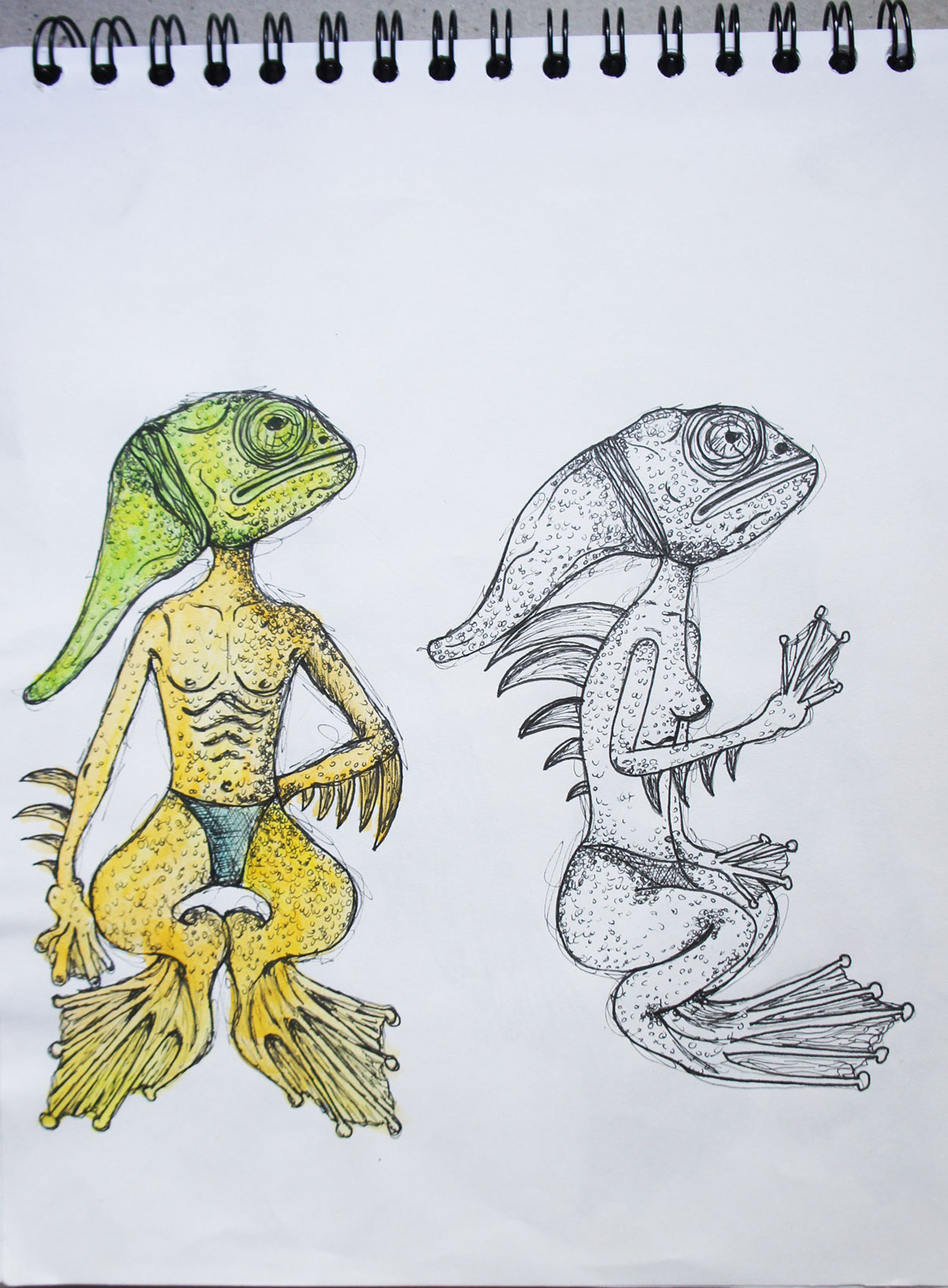 hand draw ilustracion animals colours morfo