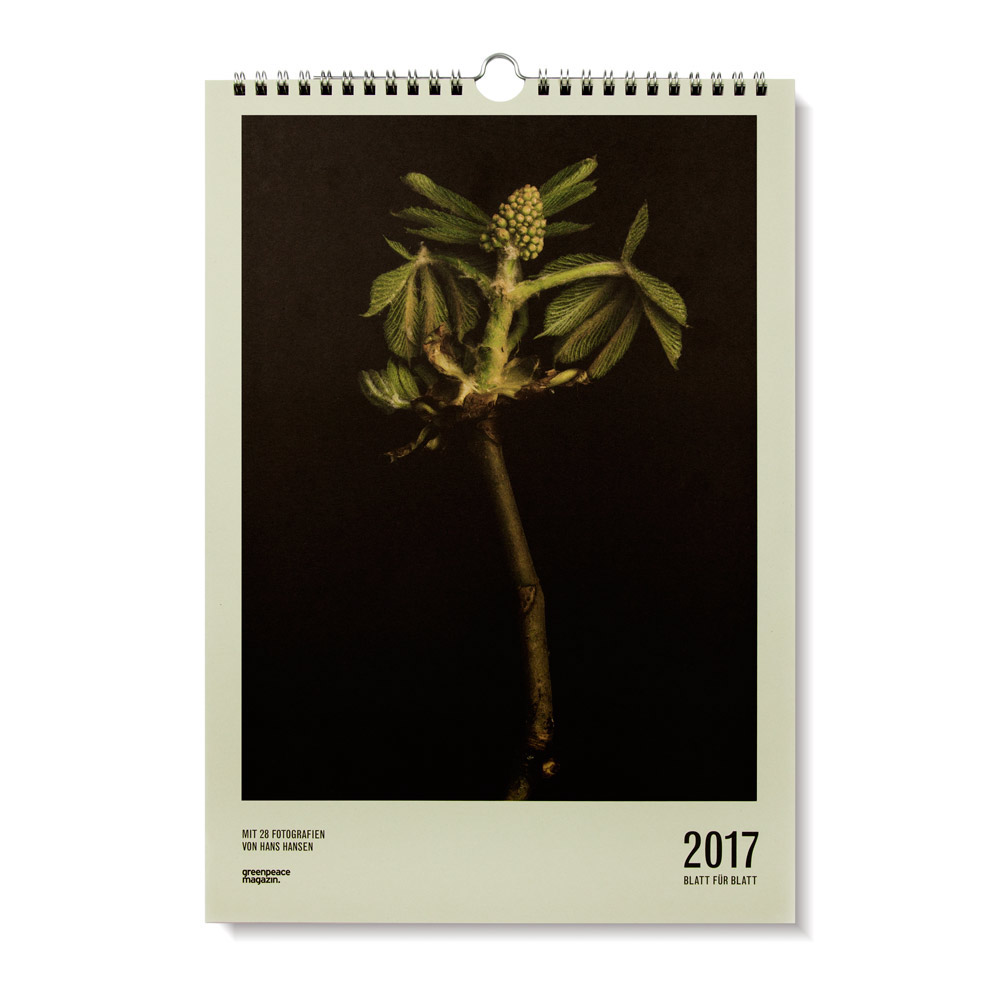 calendar print design  Photography  still life Plant flower