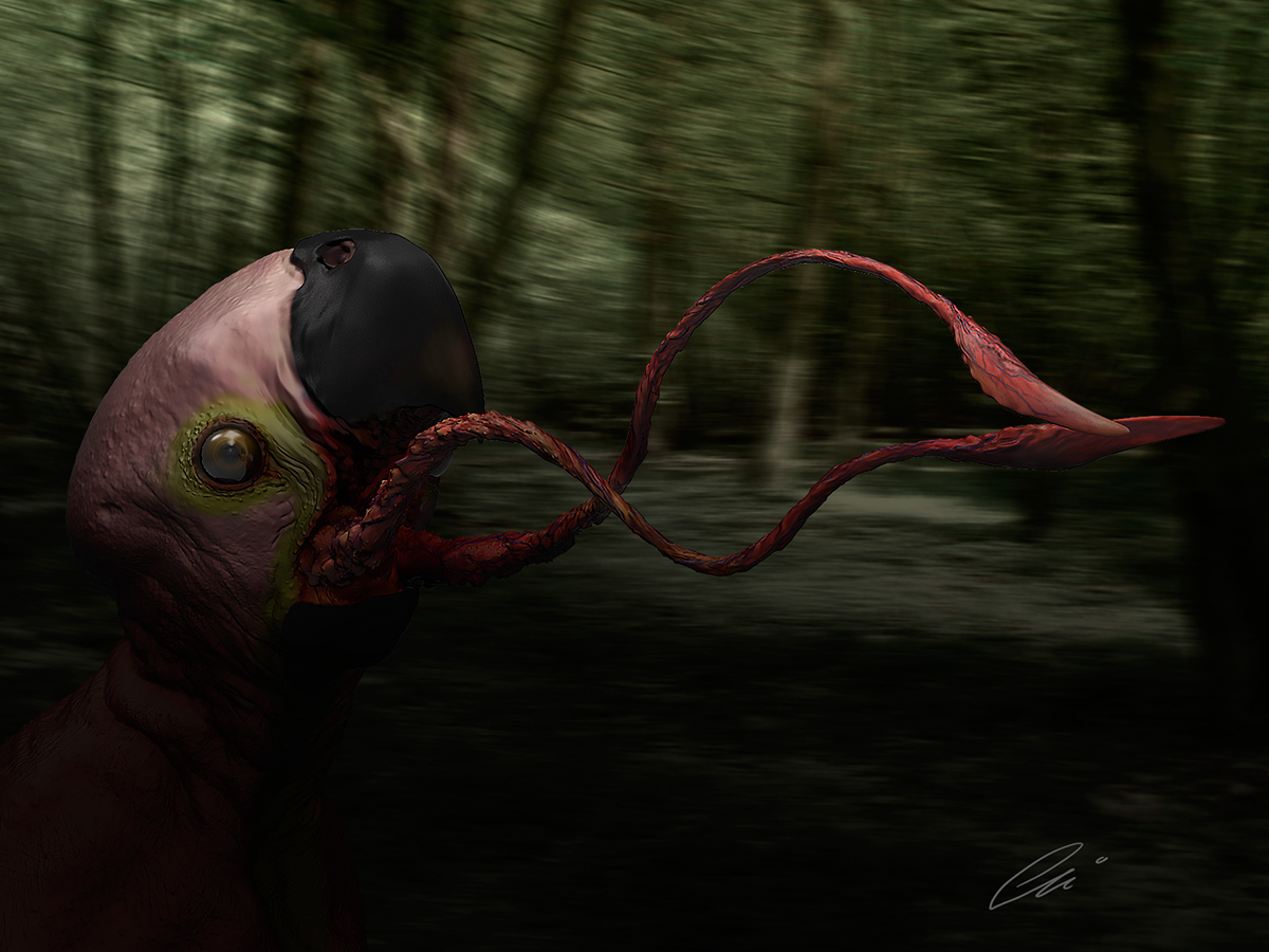 Zbrush keyshot CGart creaturedesign macaw creature conceptart 3D