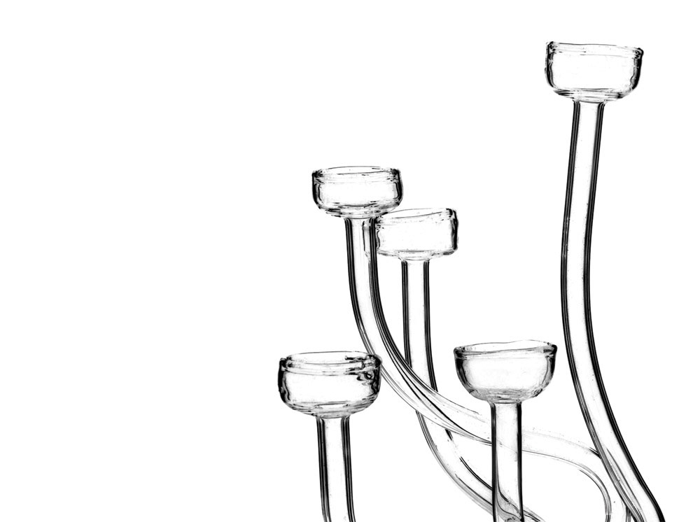 glass candlestick nature inspired designzavod