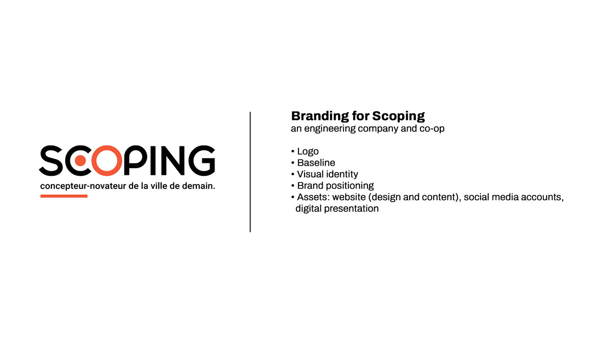 Advertising  brand Brand Design brand identity branding  identity logo Logo Design marketing   visual identity