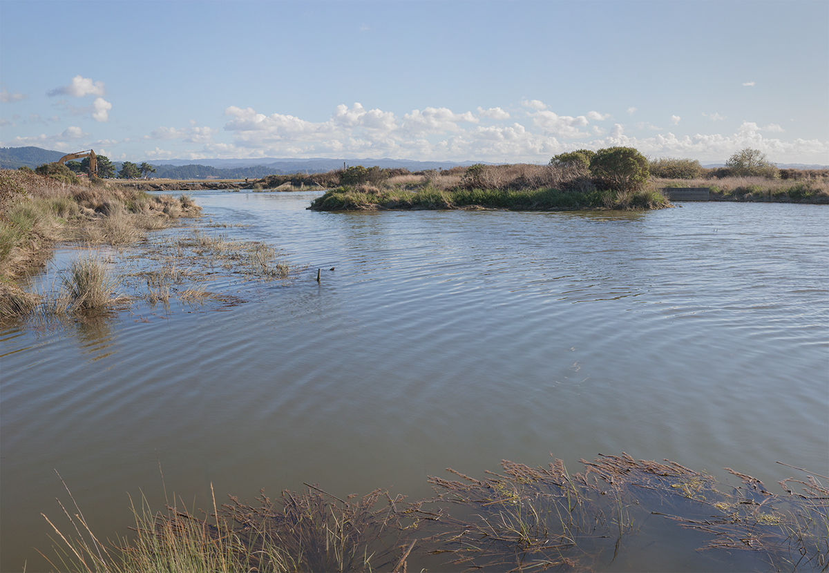 Humboldt Bay climate change Arcata Marsh anthropocene water cultural landscape landscape photography panoramic photograhy