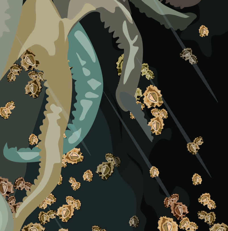 Adobe Portfolio Illustrator adobe pen vector vectors fantasy pirate octopus tentacles