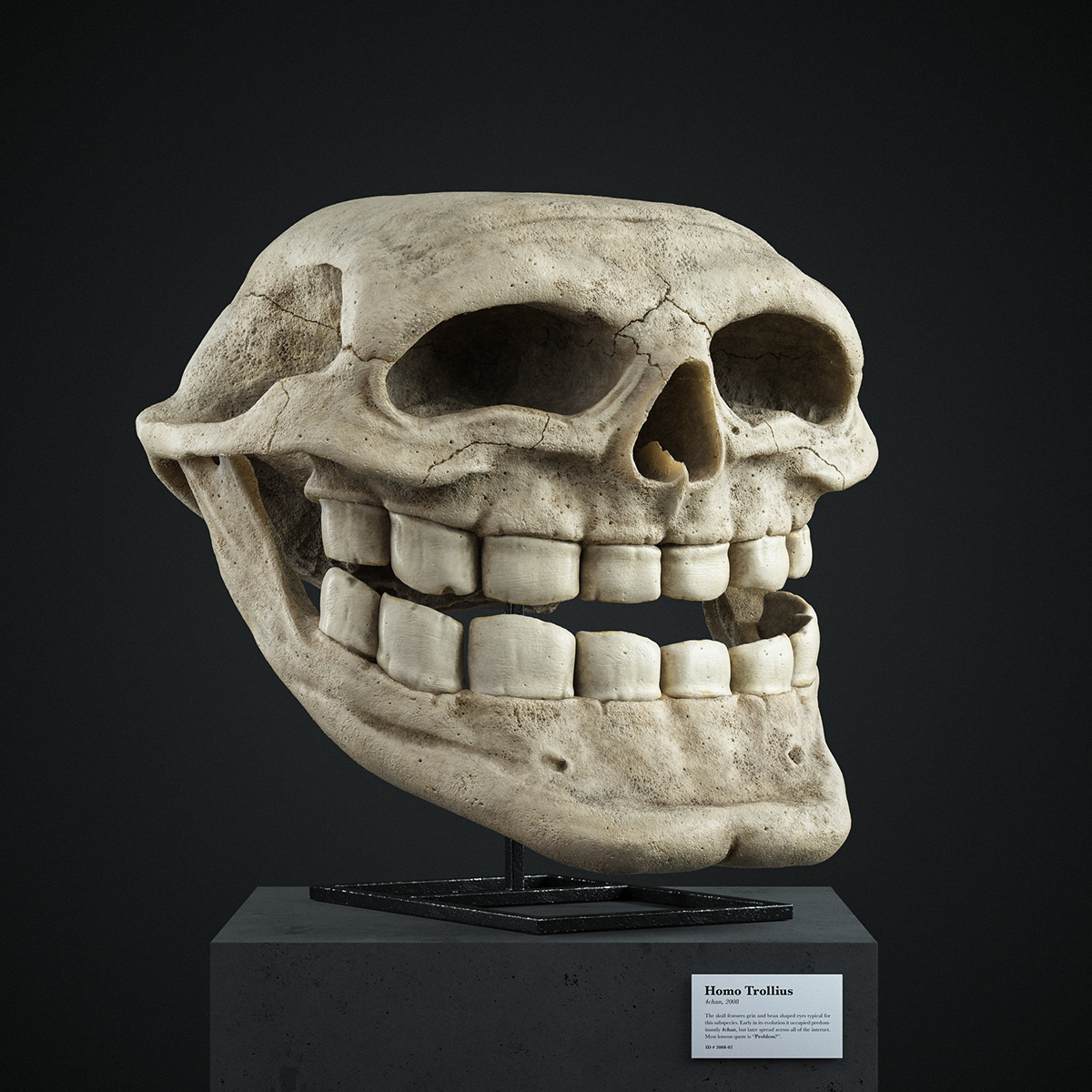 #3D #anatomy #Cinema4D #meme #realistic  #render #skull octane