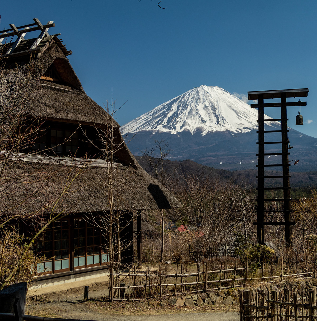 Adobe Portfolio fuji japan culture mountain spring Flowers Travel Landscape pagoda