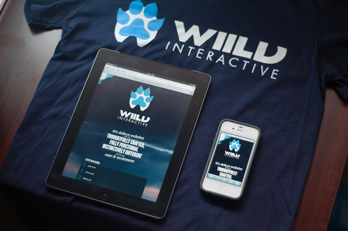 wiild Website Webdevelopment