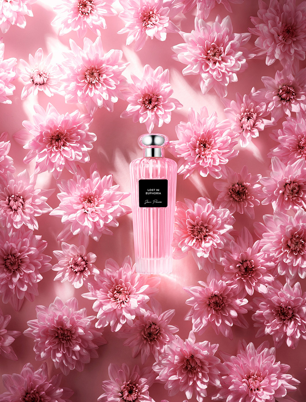 Flowers fragrances Perfumes Photography  photoshoot Product Photography still life