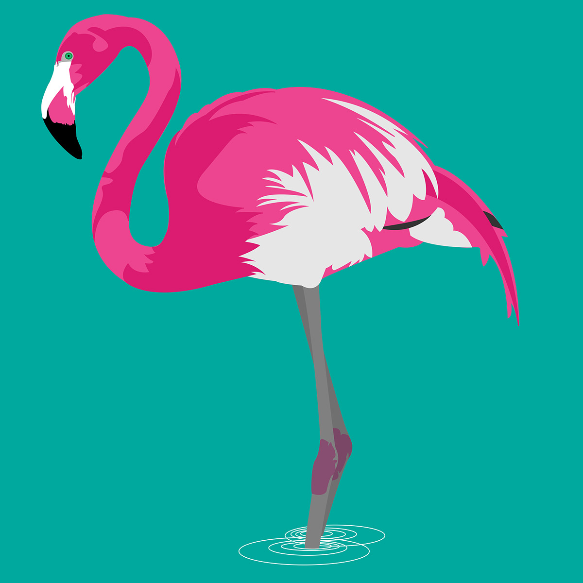 flamingo pink waterbirds DigitalIllustration vectorart Student work