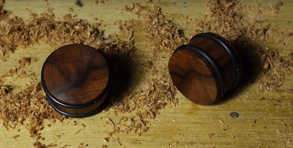ear plugs expanders logo design dihuen oak acorn bellota roble fruto chile expansiones piercings