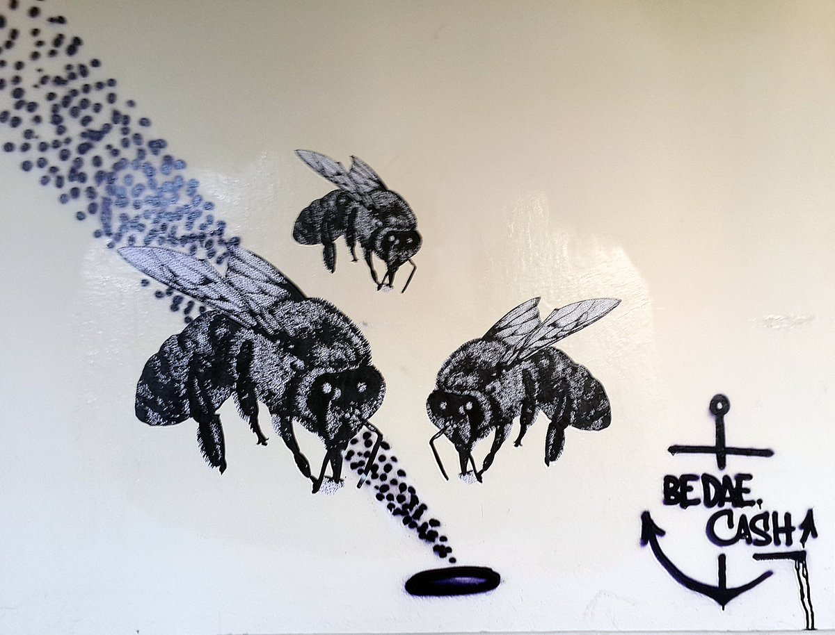 wheatpaste bee Pasteup print blackwhite streetart
