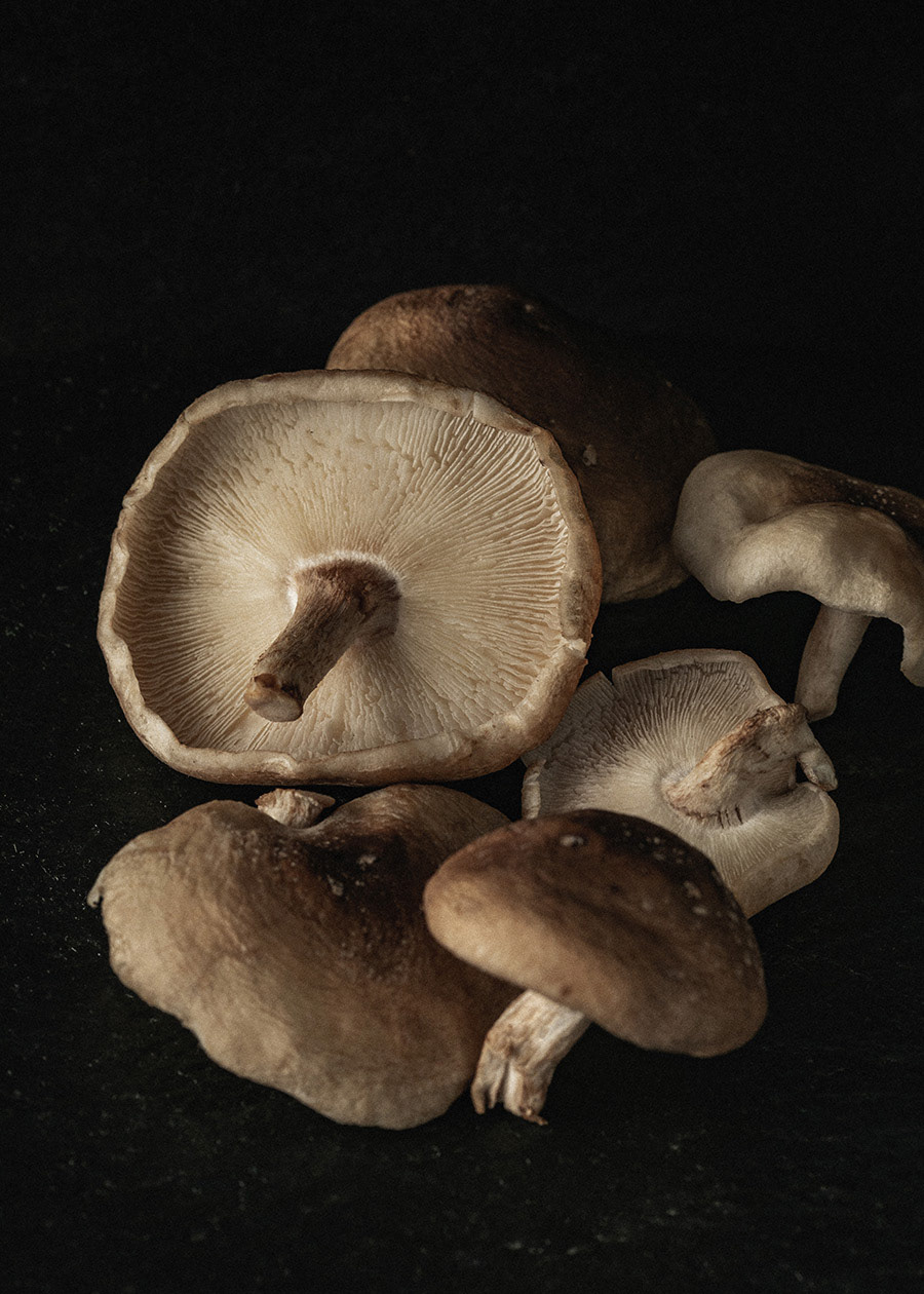 black Canon chile Food  hongos macro mushroom naturallight product